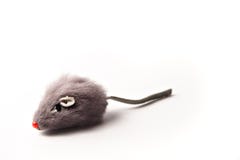 Mouse, giocattolo del gatto