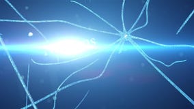 Movement through the brain cells - neurons