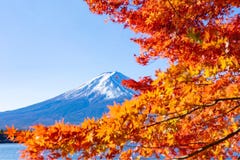 Mt El monte Fuji en otoño imagen de archivo libre de regalías Mt El monte Fuji en otoño imagen de archivo libre de regalías