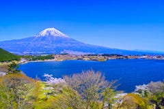Mt.Fuji, cherry blossoms and lake