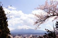 Mt Fuji med den körsbärsröda blomningen sakura i vårsäsong på himlen b arkivbild Mt Fuji med den körsbärsröda blomningen sakura i vårsäsong på himlen b arkivbild