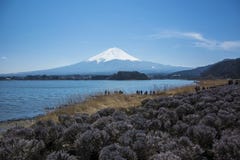 Mt Fuji w kawaguchiko jeziorze, Kawaguchiko Japonia jezioro, góra Fuji obraz stock Mt Fuji w kawaguchiko jeziorze, Kawaguchiko Japonia jezioro, góra Fuji obraz stock