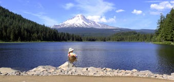 Mt. het panorama van de kap & van het meer Trillium, Oregon. Royalty-vrije Stock Foto Mt. het panorama van de kap & van het meer Trillium, Oregon. Royalty-vrije Stock Foto