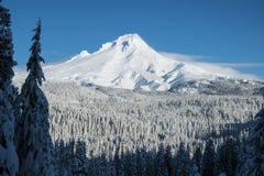 Mt. Hood, Winter, Oregon Royalty Free Stock Photos Mt. Hood, Winter, Oregon Royalty Free Stock Photos