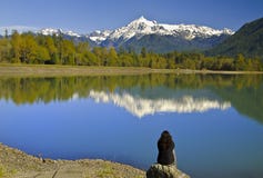 Mt Shuksan back view from baker Lake with Reflection stock photography Mt Shuksan back view from baker Lake with Reflection stock photography