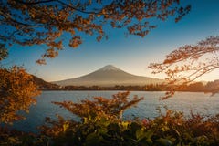 Mt 在湖Kawaguchiko的富士有在日落的秋天叶子的 免版税库存图片 Mt 在湖Kawaguchiko的富士有在日落的秋天叶子的 免版税库存图片