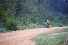Mtb горного велосипеда катания молодого человека в пользе следа джунглей для спорта стоковое изображение Mtb горного велосипеда катания молодого человека в пользе следа джунглей для спорта стоковое изображение