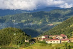 Beautiful rice terrace field on hill in Northern Vietnam royalty free stock image Beautiful rice terrace field on hill in Northern Vietnam royalty free stock image