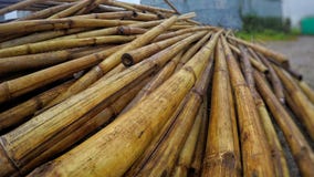 Mucchio di bambù che pone sopra a vicenda immagine stock libera da diritti Mucchio di bambù che pone sopra a vicenda immagine stock libera da diritti