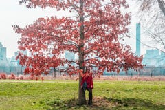 Muchacha delante de árboles en el Central Park en ci de Manhattan, Nueva York Fotografía de archivo libre de regalías Muchacha delante de árboles en el Central Park en ci de Manhattan, Nueva York Fotografía de archivo libre de regalías