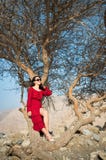 Muchacha hermosa en árbol rojo del desierto del bramido del vestido fotografía de archivo libre de regalías Muchacha hermosa en árbol rojo del desierto del bramido del vestido fotografía de archivo libre de regalías