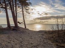 Muchacha que balancea en un oscilación en un bosque del pino en una duna de arena sobre el mar Báltico en Klaipeda, Lituania fotos de archivo libres de regalías Muchacha que balancea en un oscilación en un bosque del pino en una duna de arena sobre el mar Báltico en Klaipeda, Lituania fotos de archivo libres de regalías