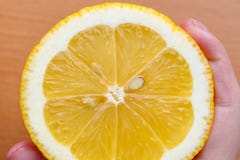 Muchacha que detiene un cierre del limón Limón de cosecha propia, alimento biológico que la muchacha sostiene en su mano en un fo fotografía de archivo libre de regalías Muchacha que detiene un cierre del limón Limón de cosecha propia, alimento biológico que la muchacha sostiene en su mano en un fo fotografía de archivo libre de regalías