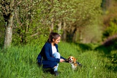 Muchacha que juega con un perro en el parque Fotos de archivo libres de regalías Muchacha que juega con un perro en el parque Fotos de archivo libres de regalías