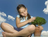 Muchacha que sostiene el pequeño árbol Fotografía de archivo Muchacha que sostiene el pequeño árbol Fotografía de archivo