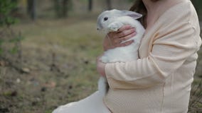 Muchacha y conejo blanco almacen de video Muchacha y conejo blanco almacen de video
