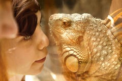 Muchacho con el lagarto de la iguana a través del vidrio en parque zoológico Foto de archivo libre de regalías Muchacho con el lagarto de la iguana a través del vidrio en parque zoológico Foto de archivo libre de regalías