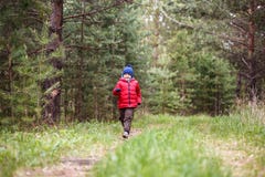 Muchacho de cinco años alegre en un casquillo y abajo una chaqueta calientes que corren a través del bosque foto de archivo libre de regalías Muchacho de cinco años alegre en un casquillo y abajo una chaqueta calientes que corren a través del bosque foto de archivo libre de regalías