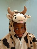 Muchacho de la vaca Muchacho de la vaca