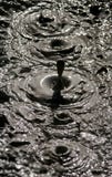 Mud Bubble,New Zealand Stock Photos Mud Bubble,New Zealand Stock Photos