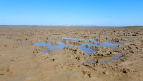 Mud flat by low tide Ebbe stock photography Mud flat by low tide Ebbe stock photography
