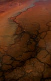 Mud Flat Patterns Royalty Free Stock Photo Mud Flat Patterns Royalty Free Stock Photo