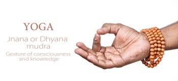 Mudra de la yoga JNANA Mudra de la yoga JNANA
