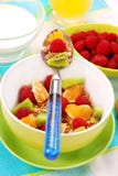 Muesli with fresh fruits as diet food Stock Photography Muesli with fresh fruits as diet food Stock Photography