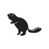 Muestra y símbolo del vector del icono del castor aislados en el fondo blanco, concepto del logotipo del castor ilustración del vector Muestra y símbolo del vector del icono del castor aislados en el fondo blanco, concepto del logotipo del castor ilustración del vector