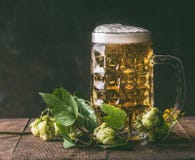Mug of beer hops on dark rustic background,front view royalty free stock image Mug of beer hops on dark rustic background,front view royalty free stock image