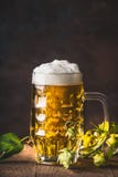Mug of fresh beer with cap of foam and hops on dark background royalty free stock photo Mug of fresh beer with cap of foam and hops on dark background royalty free stock photo