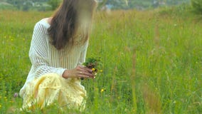 Mujer caucásica joven hermosa que recoge las flores en el campo 4K almacen de video Mujer caucásica joven hermosa que recoge las flores en el campo 4K almacen de video