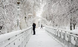 Mujer con el bebé en el puente en invierno en parque fotografía de archivo libre de regalías Mujer con el bebé en el puente en invierno en parque fotografía de archivo libre de regalías