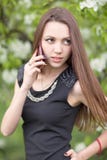 mujer con el teléfono celular foto de archivo libre de regalías mujer con el teléfono celular foto de archivo libre de regalías