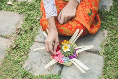 Mujer del Balinese que hace la sari de ofrecimiento del canang del ritual y que ruega en fotografía de archivo Mujer del Balinese que hace la sari de ofrecimiento del canang del ritual y que ruega en fotografía de archivo