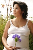 Mujer en el jardín Mujer en el jardín
