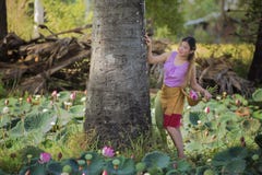 Mujer hermosa asiática que camina en campo del loto foto de archivo libre de regalías Mujer hermosa asiática que camina en campo del loto foto de archivo libre de regalías