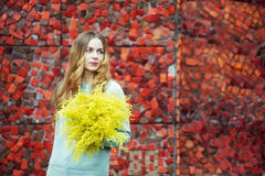 Mujer preciosa que sostiene un ramo de la mimosa, retrato en un fondo rojo brillante fotografía de archivo Mujer preciosa que sostiene un ramo de la mimosa, retrato en un fondo rojo brillante fotografía de archivo