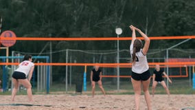Mujer profesional del servicio del voleibol en el torneo de la playa La red del voleibol el jugador bloquea la visión al aplicars almacen de metraje de vídeo Mujer profesional del servicio del voleibol en el torneo de la playa La red del voleibol el jugador bloquea la visión al aplicars almacen de metraje de vídeo