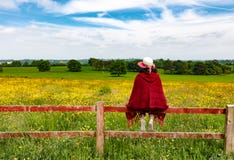Mujer que mira en campo mientras que se sienta en la cerca fotografía de archivo Mujer que mira en campo mientras que se sienta en la cerca fotografía de archivo