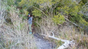 Mujer que se coloca en cañas foto de archivo Mujer que se coloca en cañas foto de archivo