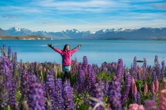 Mujer turística en el lago Tekapo, Nueva Zelanda imagen de archivo libre de regalías Mujer turística en el lago Tekapo, Nueva Zelanda imagen de archivo libre de regalías