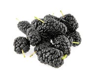 Mulberry Royalty Free Stock Photos