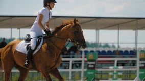 Fundo Cavalo Pulando Obstáculos Em Um Show Country Bar Ao Ar Livre