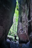 Mulher ativa que caminha através da floresta nevoenta densa cênico com garganta da rocha e da árvore com a trouxa na fuga de corr imagens de stock Mulher ativa que caminha através da floresta nevoenta densa cênico com garganta da rocha e da árvore com a trouxa na fuga de corr imagens de stock
