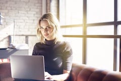 Mulher de negócios loura bonita que senta-se no escritório ensolarado que trabalha no portátil Conceito dos jovens que trabalham fotos de stock royalty free Mulher de negócios loura bonita que senta-se no escritório ensolarado que trabalha no portátil Conceito dos jovens que trabalham fotos de stock royalty free