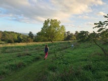 Mulher e menino no campo - noite do verão foto de stock Mulher e menino no campo - noite do verão foto de stock