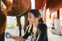 Mulher nova com cavalo fotos de stock Mulher nova com cavalo fotos de stock