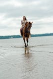 Mulher nova em um cavalo foto de stock royalty free Mulher nova em um cavalo foto de stock royalty free