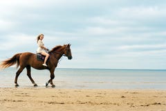 Mulher nova em um cavalo foto de stock royalty free Mulher nova em um cavalo foto de stock royalty free